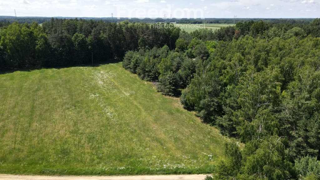 Działka budowlana na sprzedaż Nowa Wieś  1 000m2 Foto 4