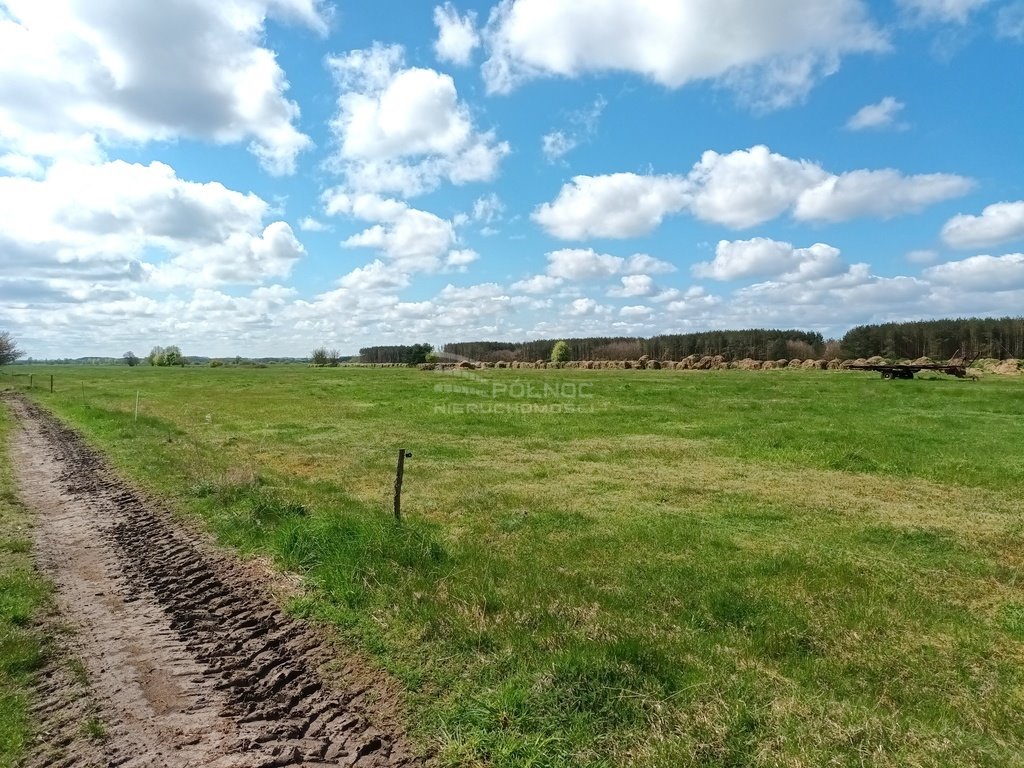 Działka siedliskowa na sprzedaż Człuchy  3 003m2 Foto 4