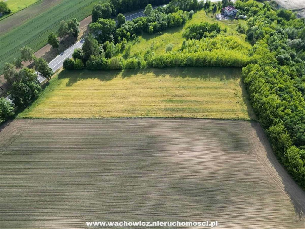 Działka rolna na sprzedaż Orłów  18 169m2 Foto 3