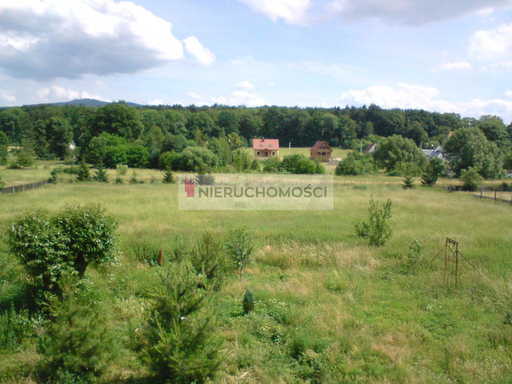 Działka budowlana na sprzedaż Szczepanów  1 262m2 Foto 4