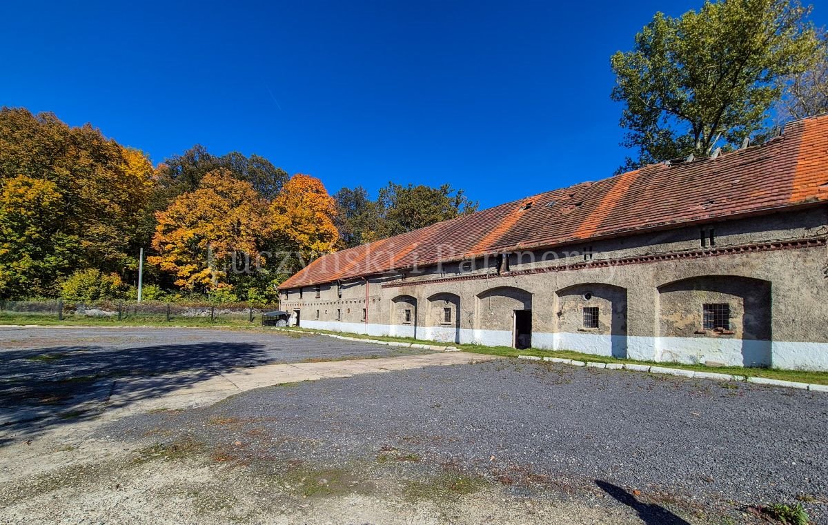 Zapraszam do zakupu działki 4,28 ha z budynkami i potencjałem Ubocze  42 800m2 Foto 1