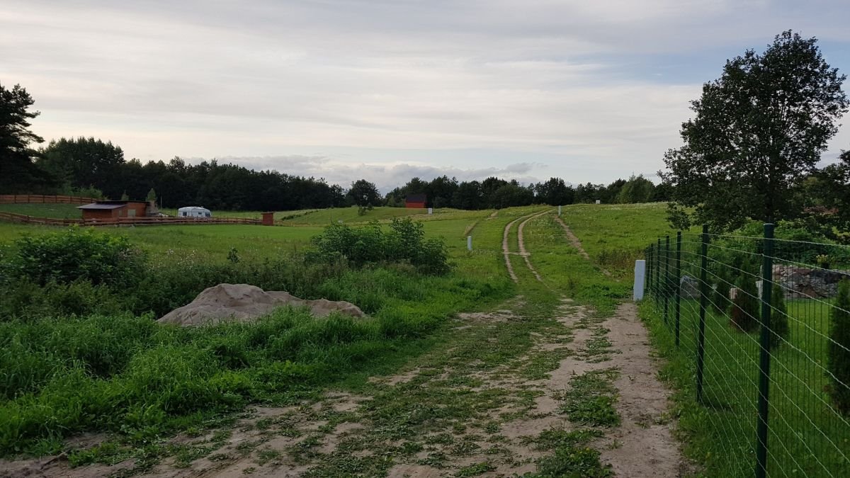 Działka budowlana na sprzedaż Dobki  3 000m2 Foto 2