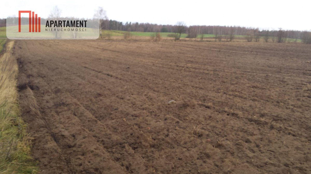 Polecam działkę 5000 m² z warunkami zabudowy w Kamiennej Górze Kamienna Góra  5 000m2 Foto 1