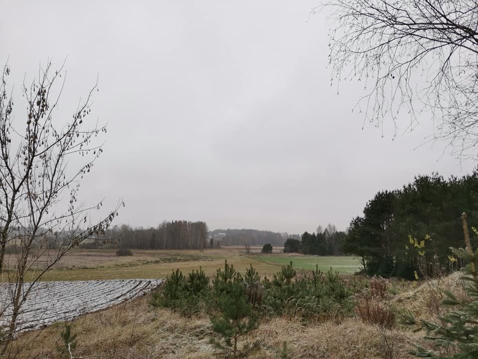 Dom na sprzedaż Stara Moczalnia  125m2 Foto 6