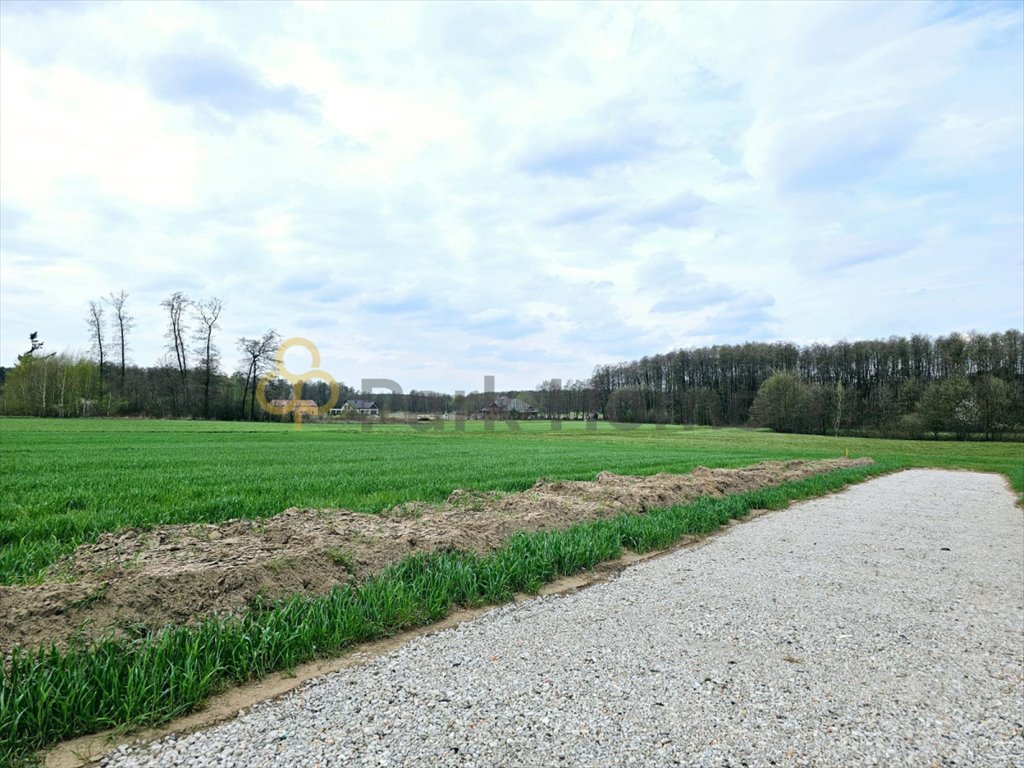 Działka budowlana na sprzedaż Konarskie  6 941m2 Foto 1