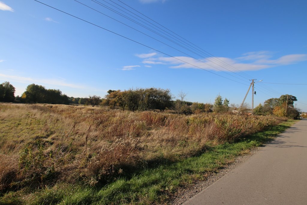 Działka budowlano-rolna Kozioł 1,87 ha, dostęp do drogi Kozioł  1 500m2 Foto 1