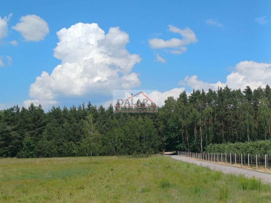 Działka inna na sprzedaż Warka, Borowe  3 000m2 Foto 2