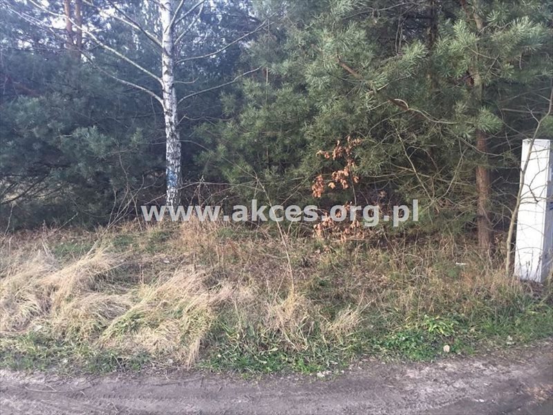 Działka budowlana na sprzedaż Łoś, Łoś 1 000m2 Foto 1 Działka budowlana na sprzedaż Łoś, Łoś 1 000m2 Foto 1