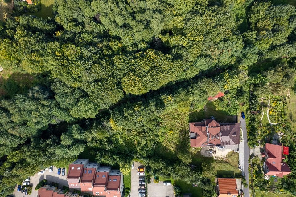 Lokal użytkowy na sprzedaż Bielsko-Biała, Zielna  950m2 Foto 6