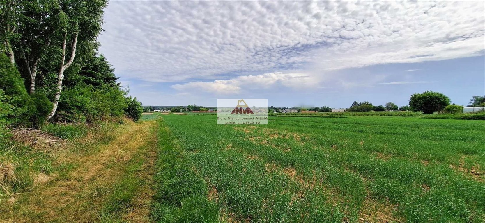 Działka 2,25 ha pod inwestycję w Zemborzycach Lublin, Zemborzyce, Zemborzyce Kościelne  24 252m2 Foto 1