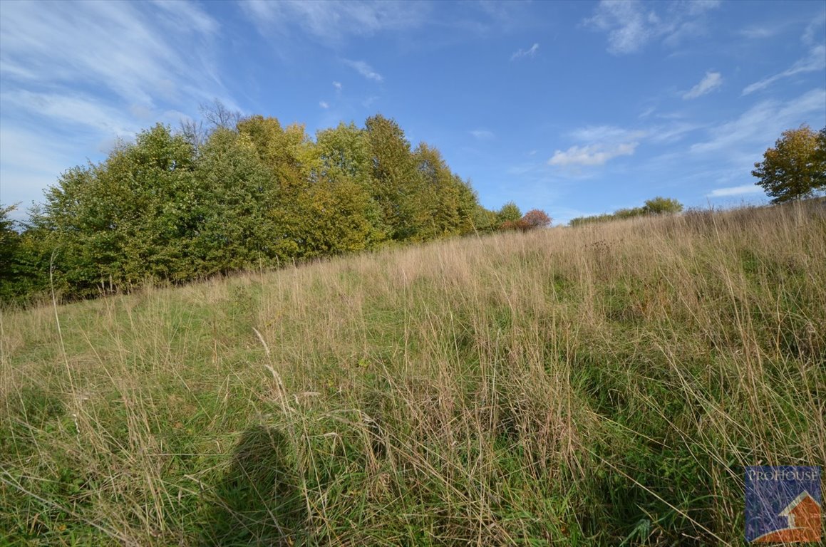 Do sprzedania działka 2500 m² w Kostrzy z dostępem do mediów Kostrza  2 500m2 Foto 1