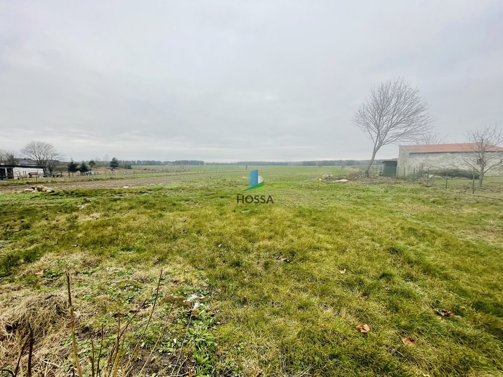 Działka budowlana na sprzedaż Piotrowice  1 800m2 Foto 7