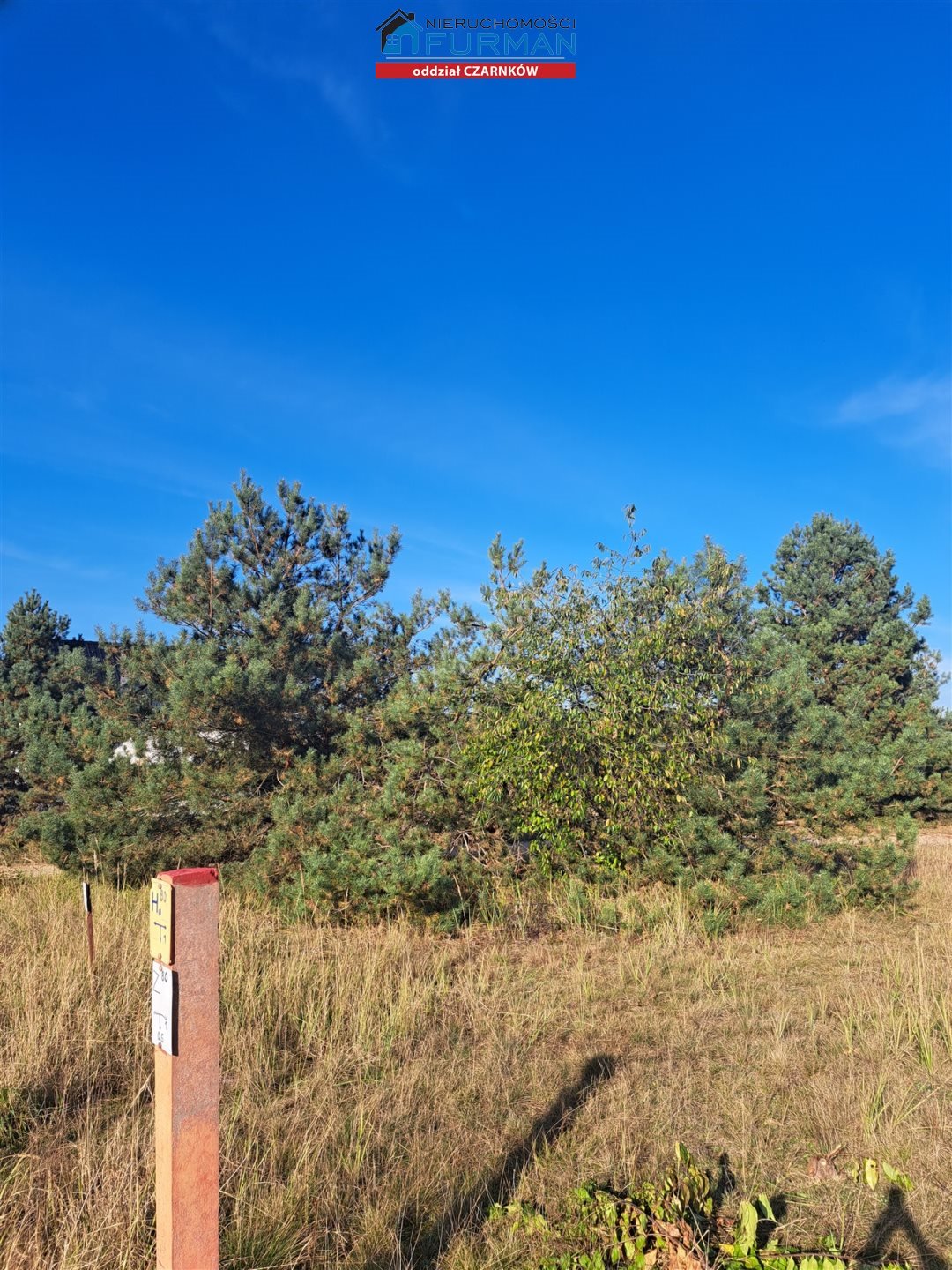 Działka budowlana na sprzedaż Wieleń  2 650m2 Foto 2