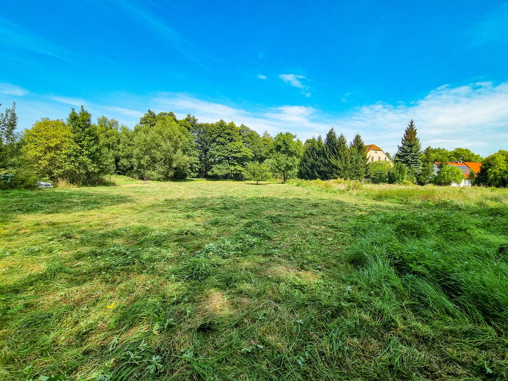 Działka inna na sprzedaż Stary Wielisław  2 800m2 Foto 5