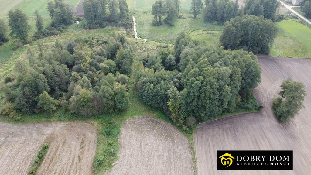 Dom na sprzedaż Krasowo Wielkie  55m2 Foto 3