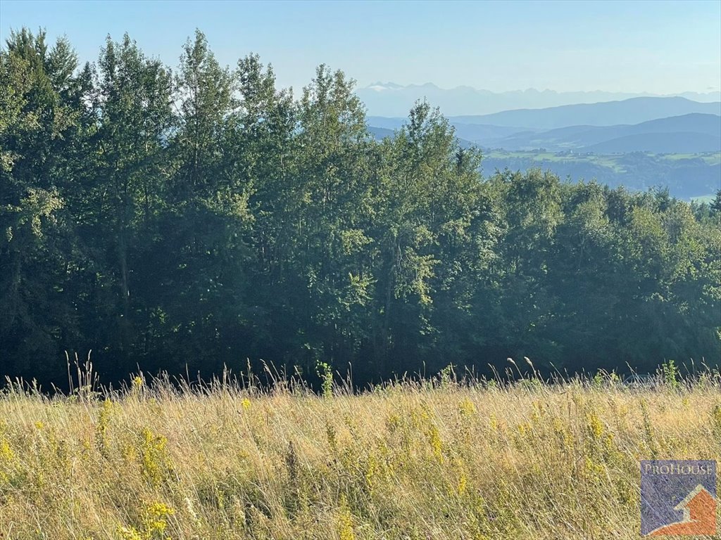 Działka budowlana na sprzedaż Kłodne  5 200m2 Foto 9