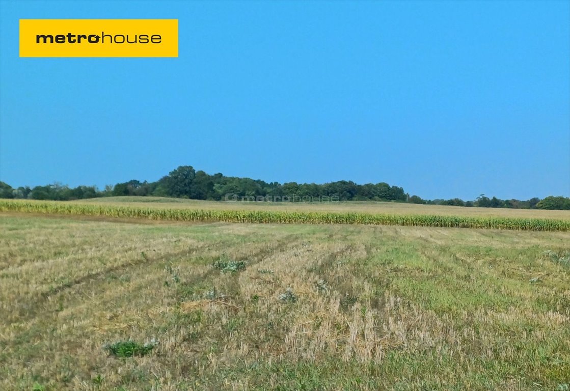 Działka inna na sprzedaż Konarzyny, Żychckie Osady  3 010m2 Foto 1