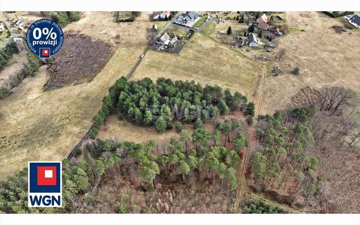 Działka budowlana na sprzedaż Osiecznica, Bukowa  6 900m2 Foto 6