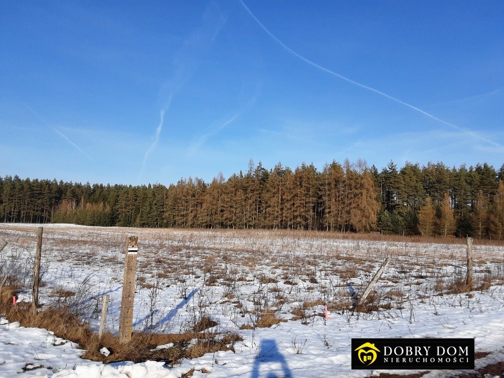 Działka budowlana na sprzedaż Serski Las  1 200m2 Foto 15