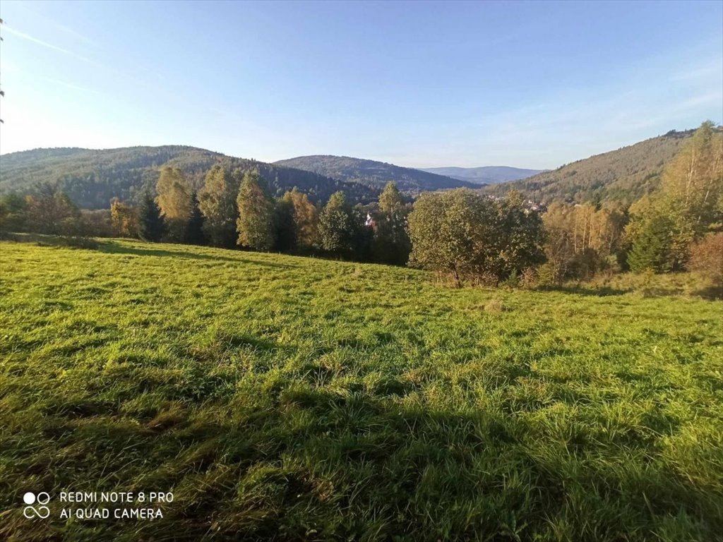 Działka rolna na sprzedaż Rajcza  3 237m2 Foto 2