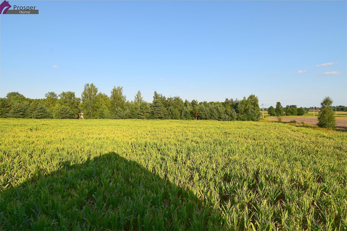 Działka inwestycyjna na sprzedaż Łańcut  15 200m2 Foto 1