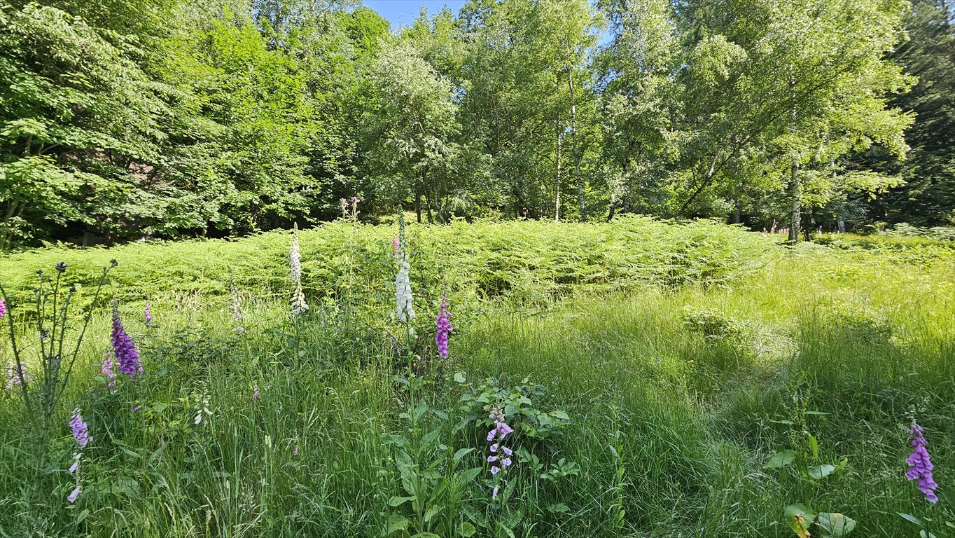 Działka 742 m² w Rzykach (las, enklawa domków letniskowych) Rzyki  742m2 Foto 1