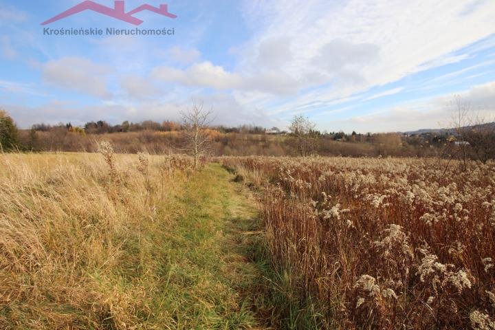 Działka rolna na sprzedaż Kopytowa  8 000m2 Foto 3