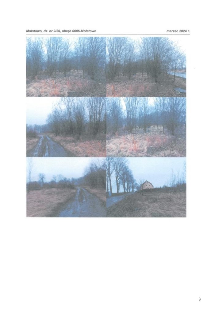 Działka rolna na sprzedaż Mołstowo  15 979m2 Foto 1