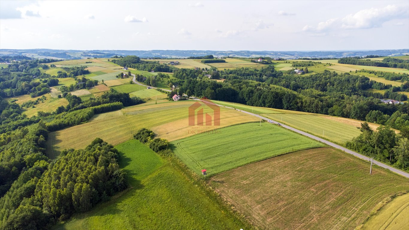 Działka budowlana na sprzedaż Wielopole Skrzyńskie  3 650m2 Foto 12