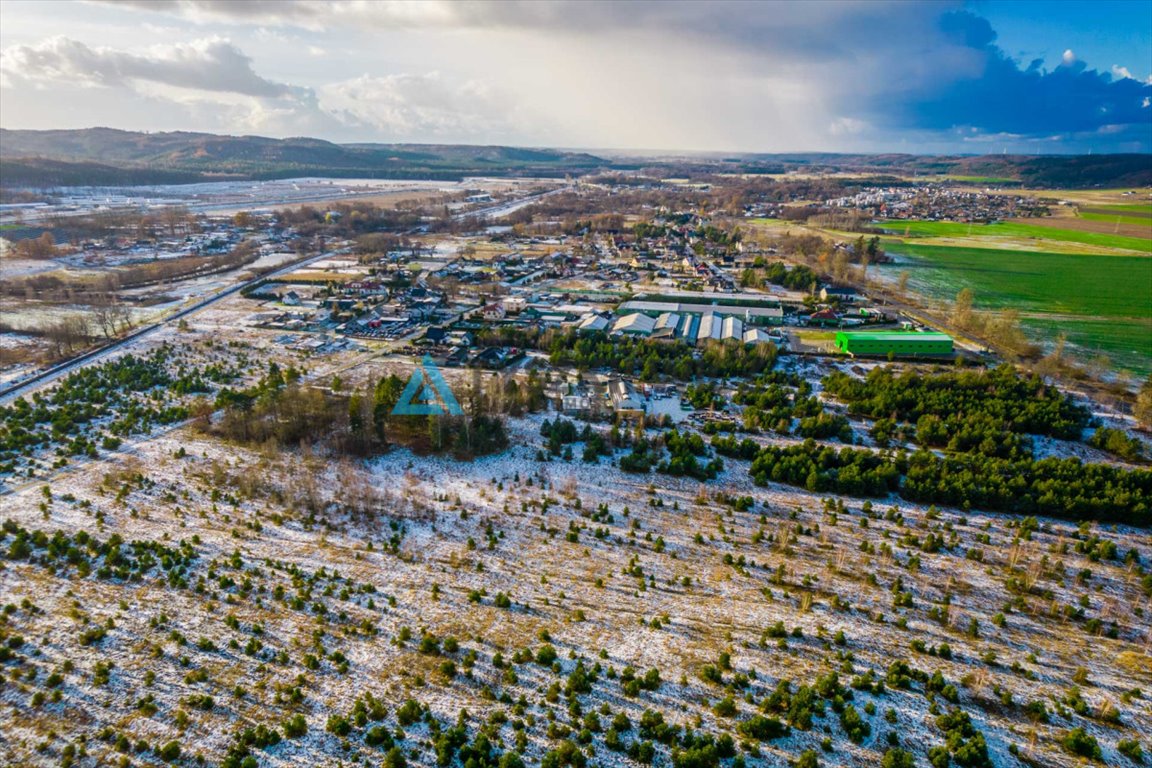 Działka przemysłowo-handlowa na sprzedaż Bożepole Małe  36 800m2 Foto 7