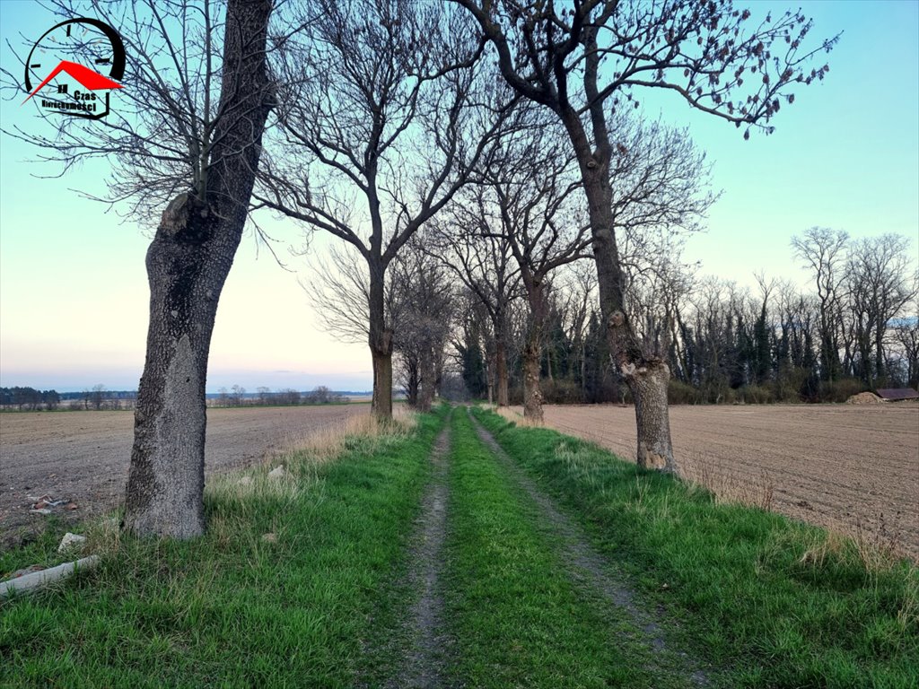 Działka gospodarstwo rolne na sprzedaż Dzierzążno  1 400m2 Foto 3