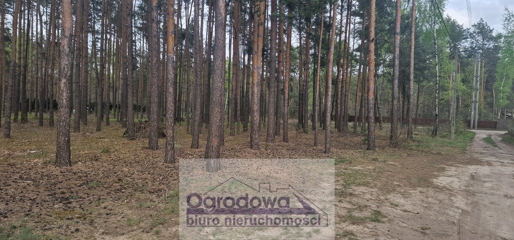 Działka budowlana na sprzedaż Zagościniec  4 059m2 Foto 7