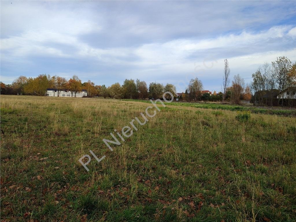 Działka budowlana na sprzedaż Chrzanów Duży  1 205m2 Foto 1