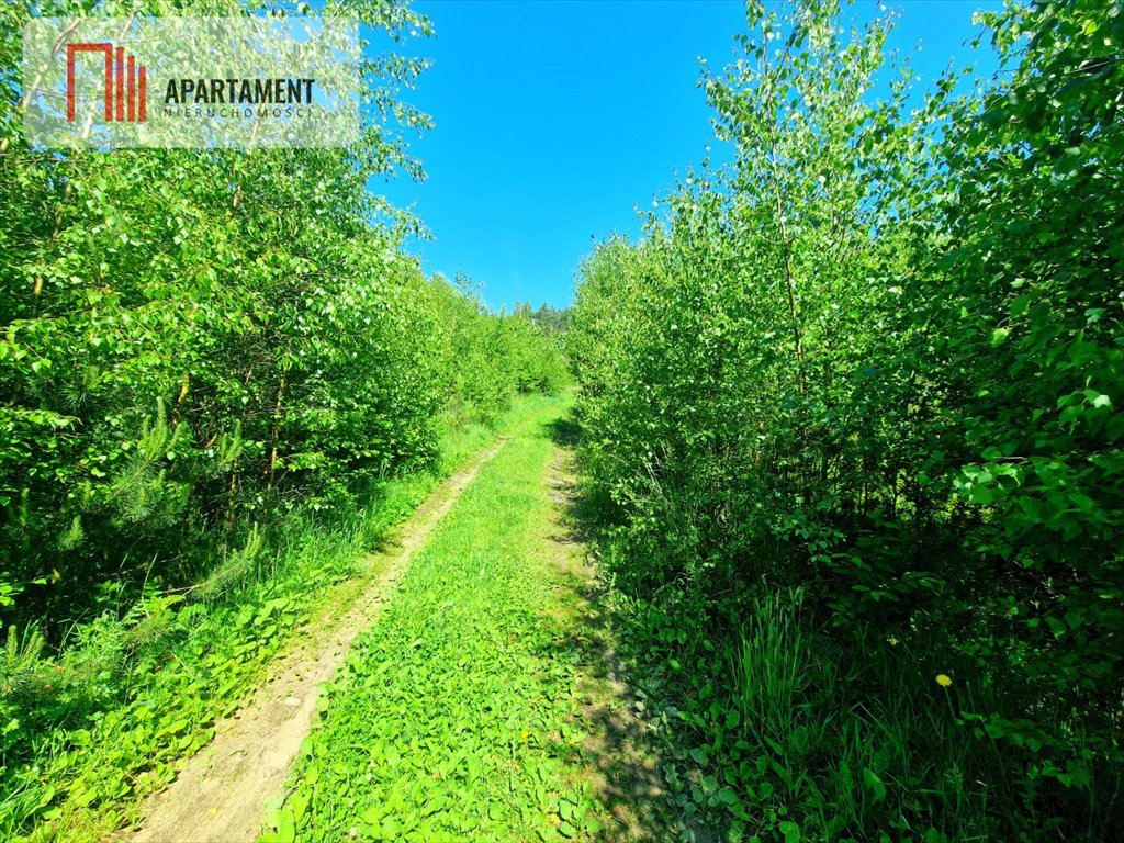 Działka pod domki letniskowe, 1171 m2, Tleń Tleń  1 171m2 Foto 1