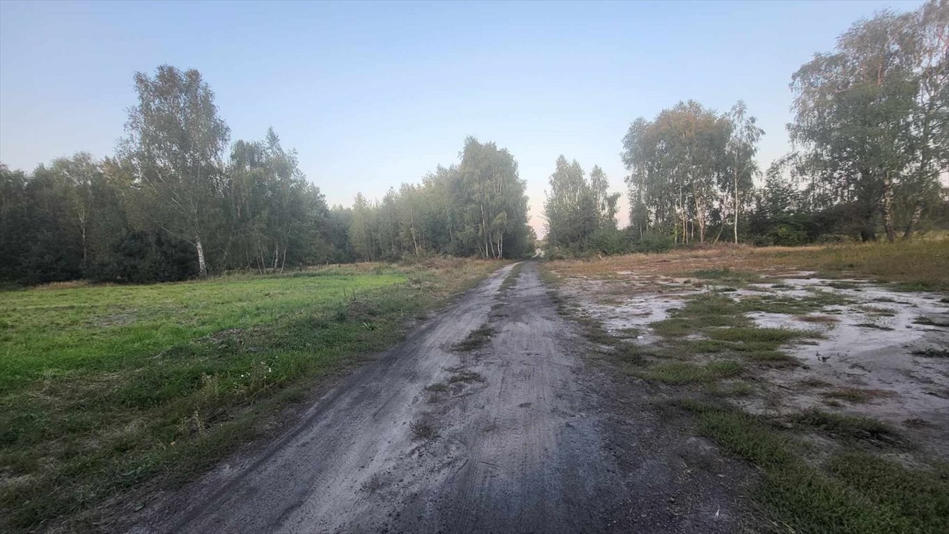 Działka leśna na sprzedaż Korczew  2 236m2 Foto 2