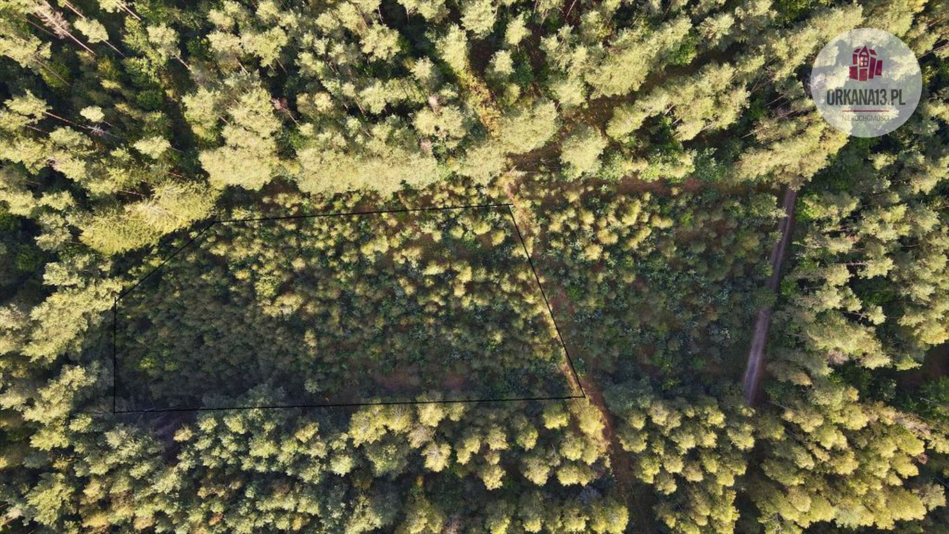 Działka rolna na sprzedaż Gutkowo, Gutkowo  3 673m2 Foto 10