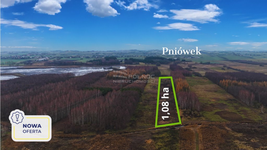 Działka rolna na sprzedaż Pniówek  10 800m2 Foto 1