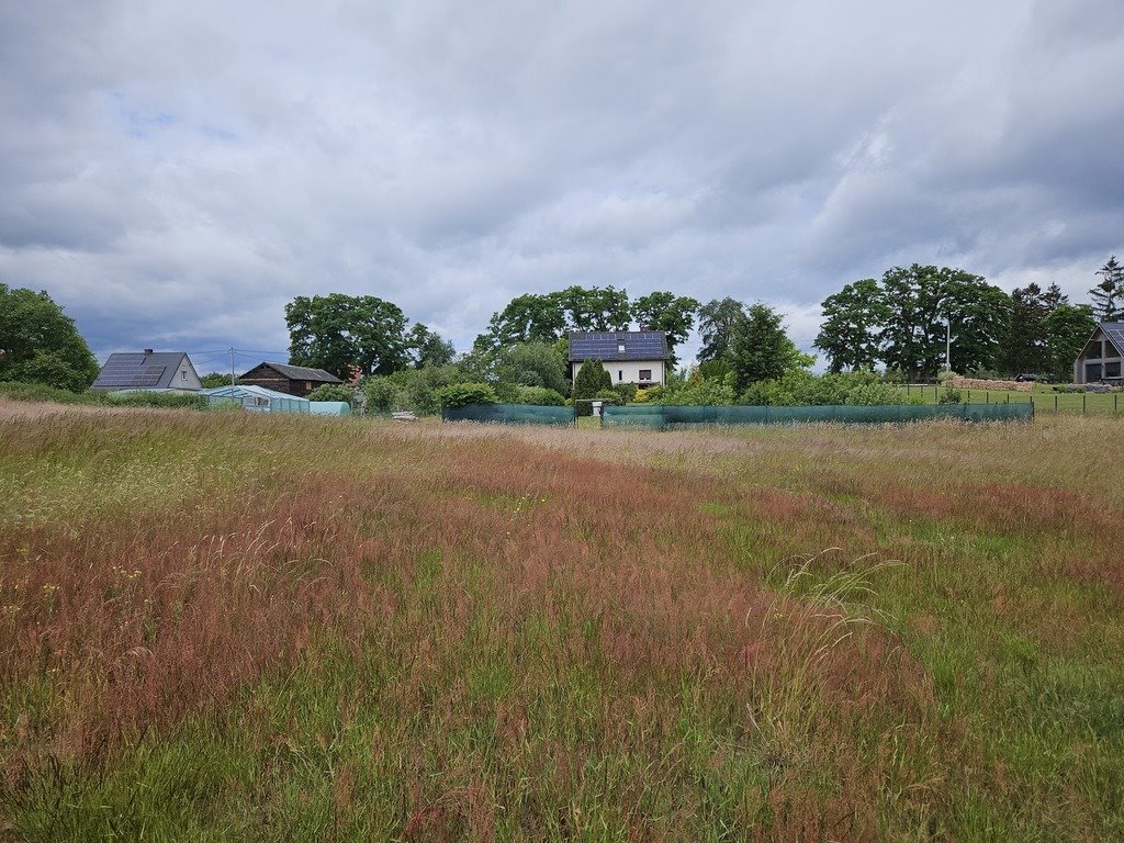 Działka budowlana na sprzedaż Klepin  1 204m2 Foto 8