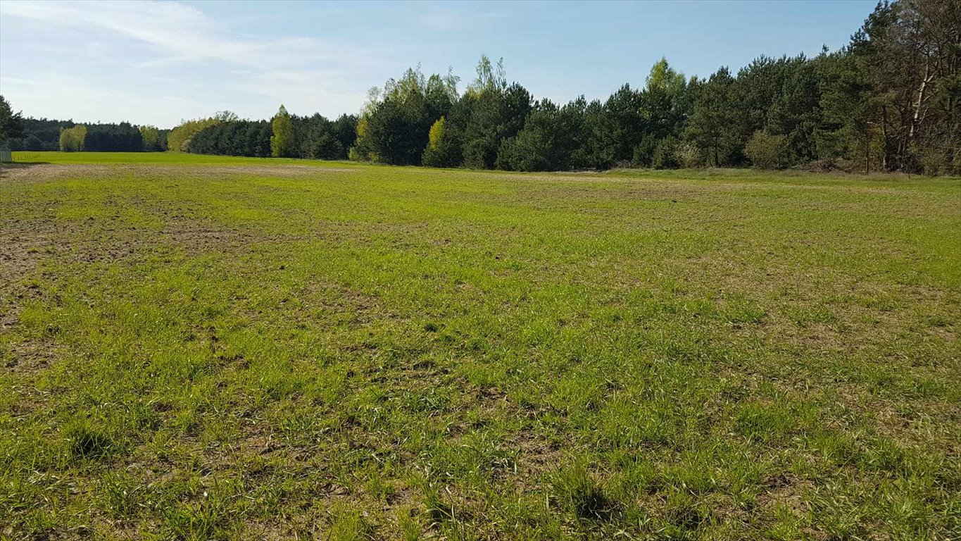 Działka budowlana na sprzedaż Miękiny  1 800m2 Foto 2