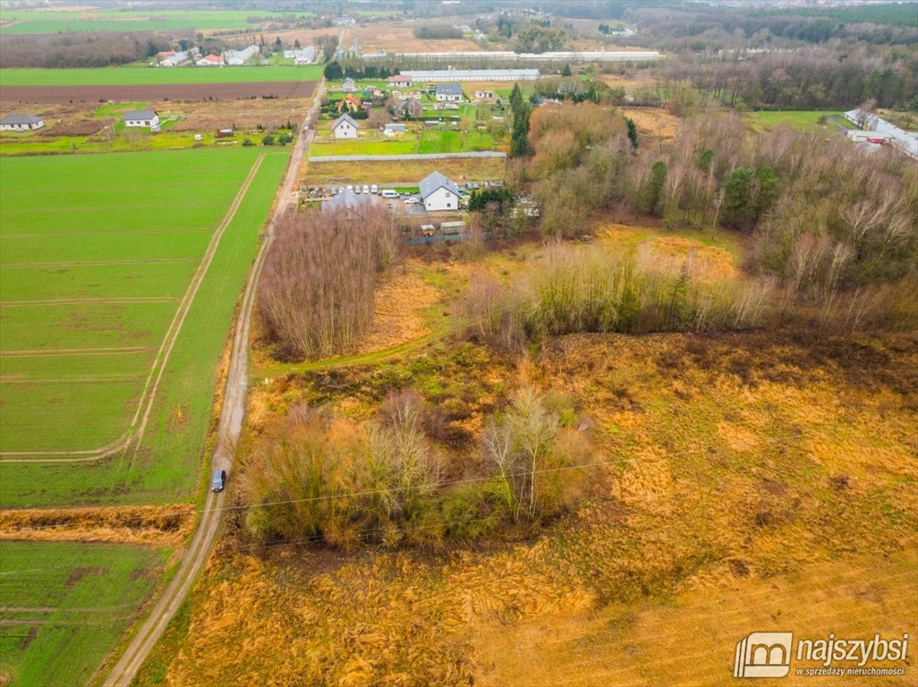 Działka rolna na sprzedaż Żółwia Błoć, Wieś  23 800m2 Foto 14