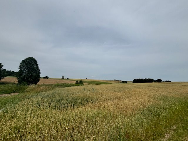 Działka inwestycyjna na sprzedaż Gryfów Śląski  5 400m2 Foto 2