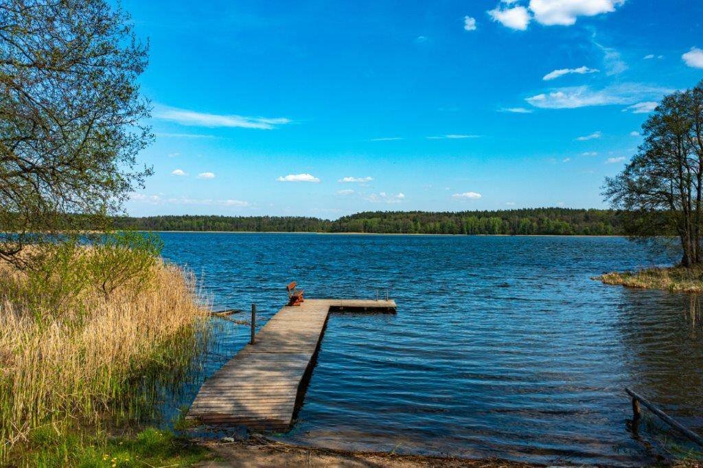 Dom na sprzedaż Dobry Lasek  86m2 Foto 5