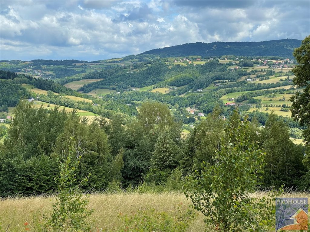 Widokowa działka 44 ar z dostępem do drogi i lasem Koszary  4 400m2 Foto 1