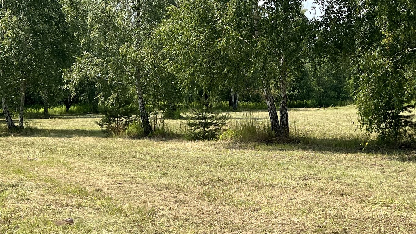 Działka budowlana na sprzedaż Kierszek, Prawdziwka  3 000m2 Foto 6