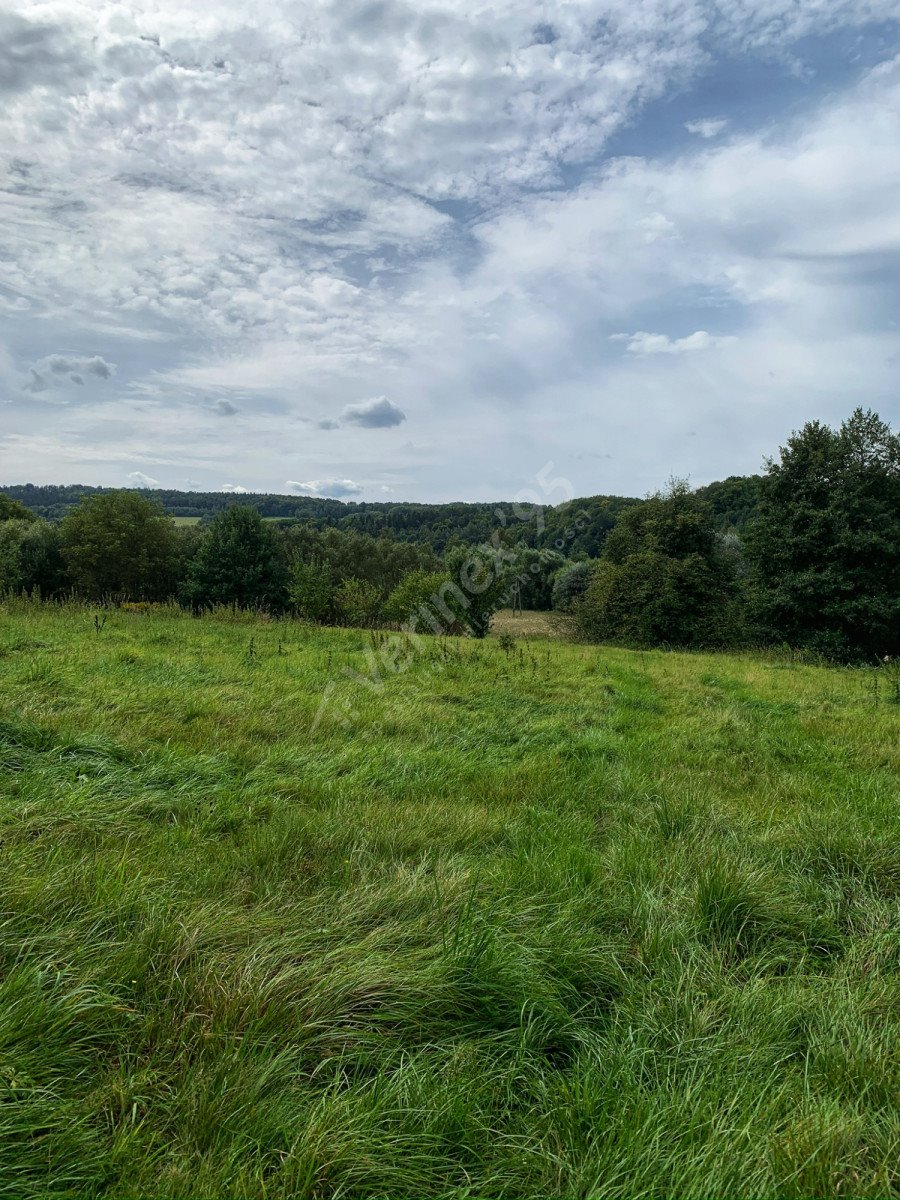 Działka budowlana na sprzedaż Czernica  1 733m2 Foto 2