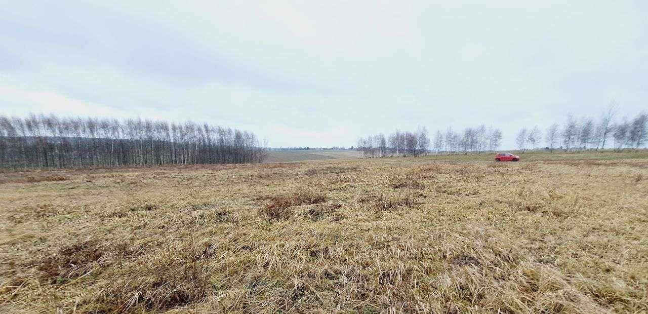 Działka siedliskowa na sprzedaż Wola Kalinowska, ul. Kaliski  3 600m2 Foto 1