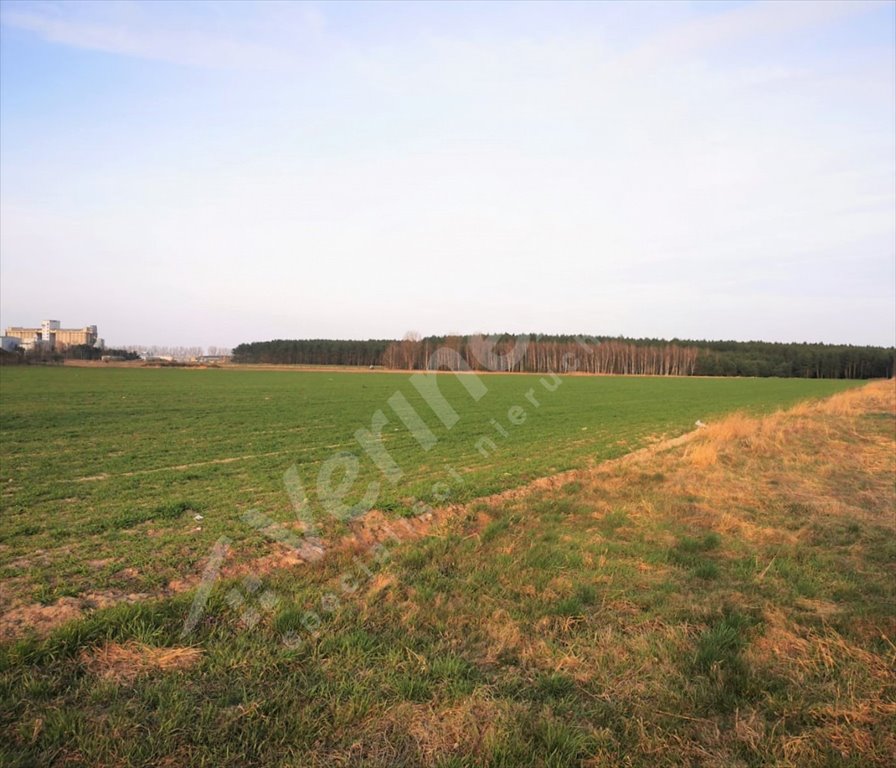 Działka rolna na sprzedaż Leszno  16 900m2 Foto 5