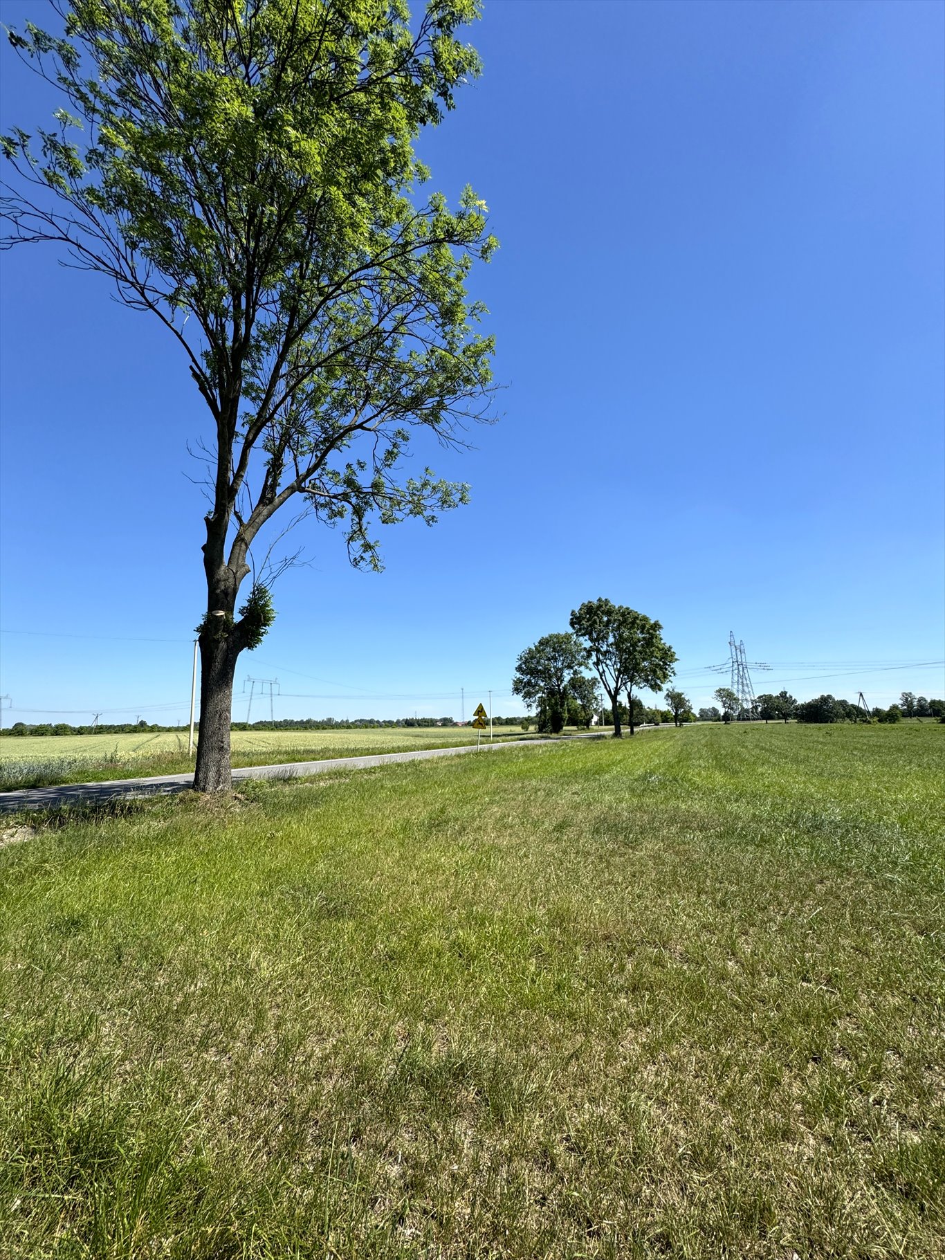 Działki pod zabudowę 37 ar w Tryńczy - media w drodze Tryńcza  3 700m2 Foto 1