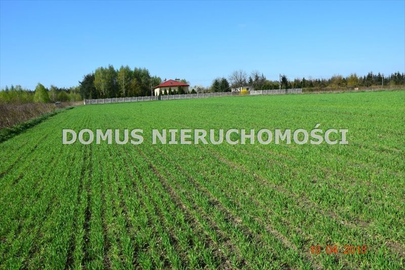 Działka inna na sprzedaż Łódź, Widzew, - 5 600m2 Foto 1 Działka inna na sprzedaż Łódź, Widzew, - 5 600m2 Foto 1