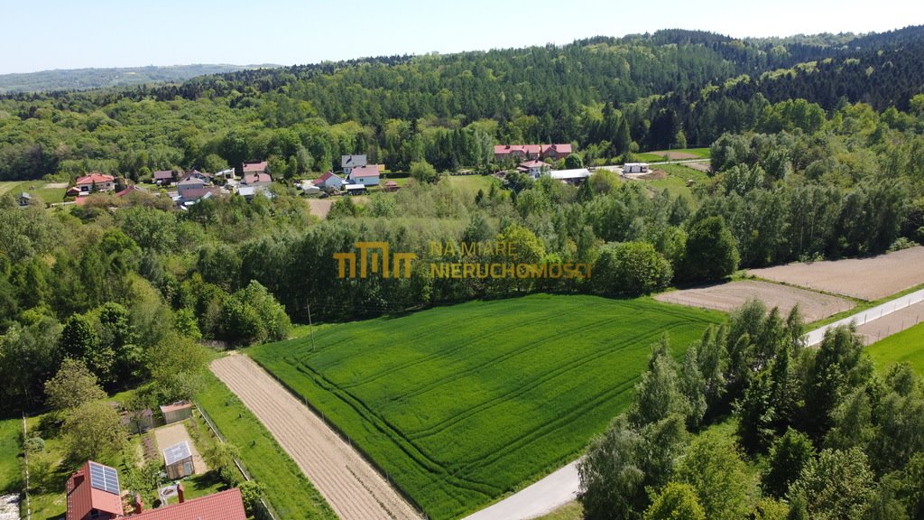 Działka budowlana na sprzedaż Cierpisz  3 000m2 Foto 3